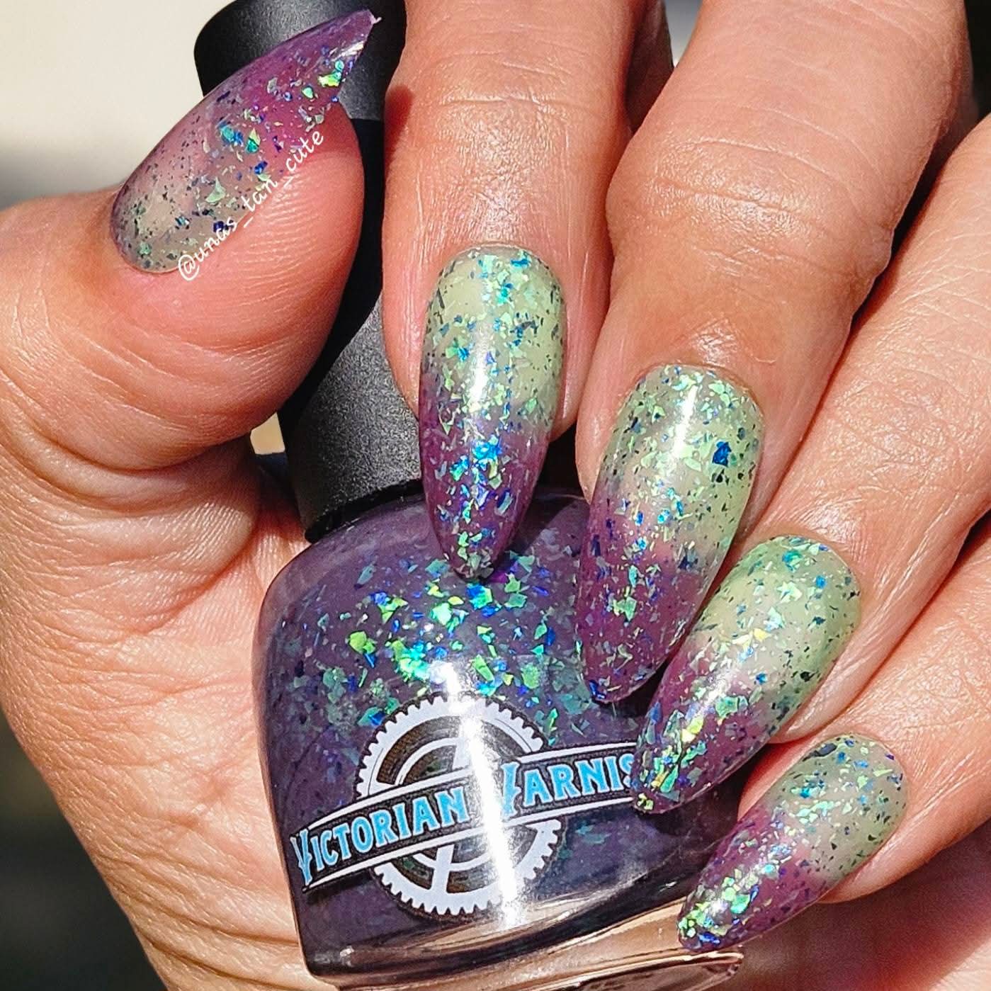 SIRENS SING SEA SHANTIES (TRI THERMAL)
