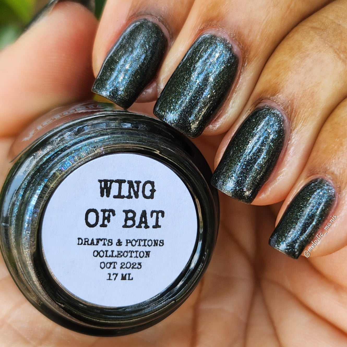 Wing of Bat