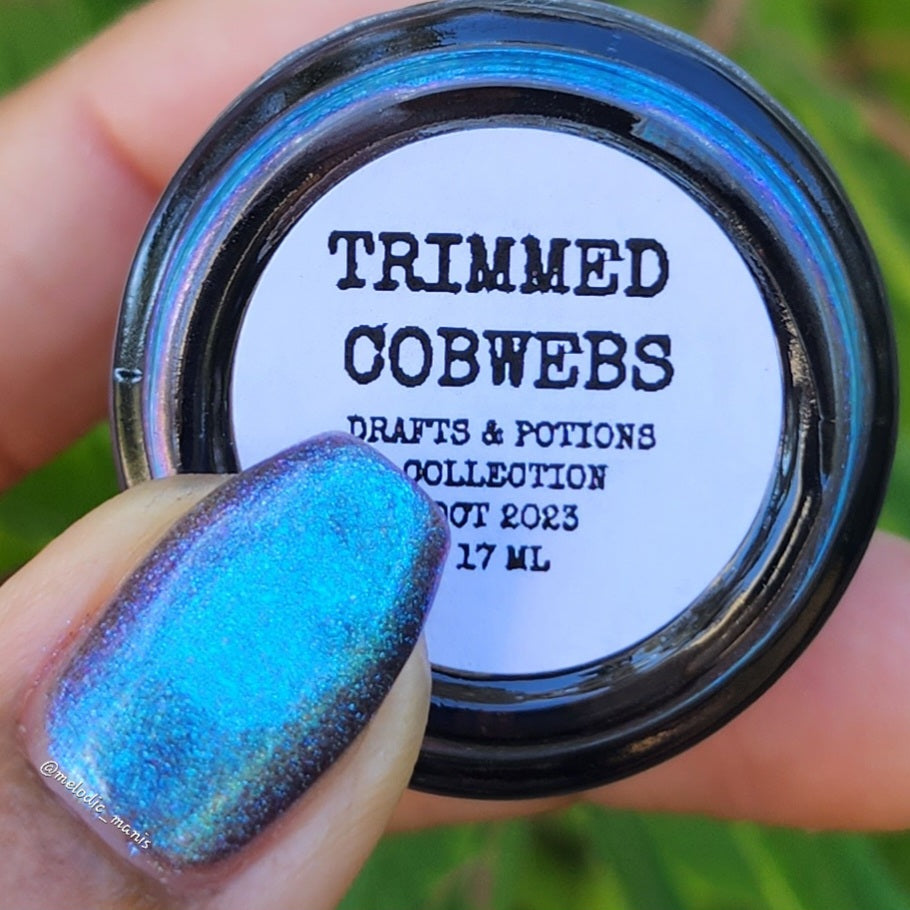 Trimmed Cobwebs