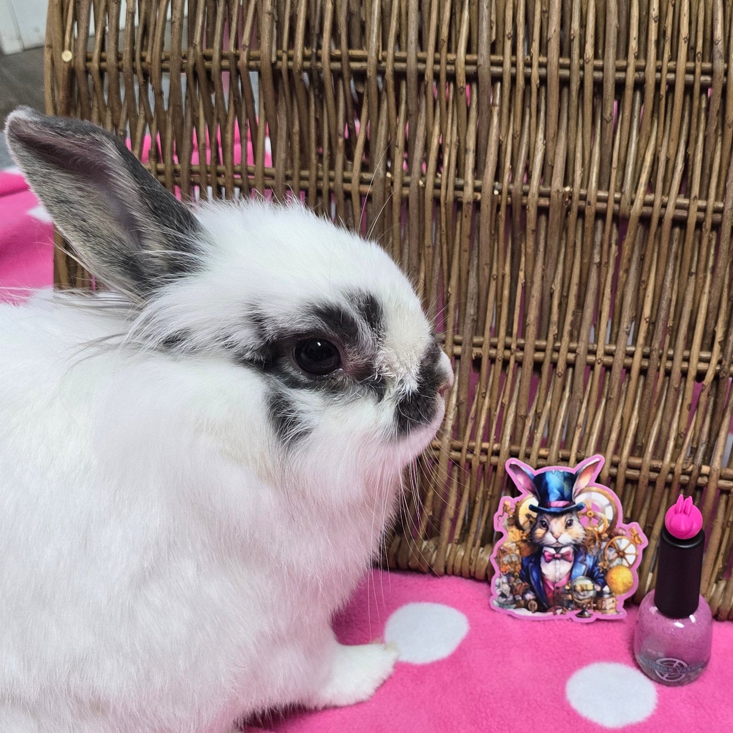 BUNNY BOOPS
