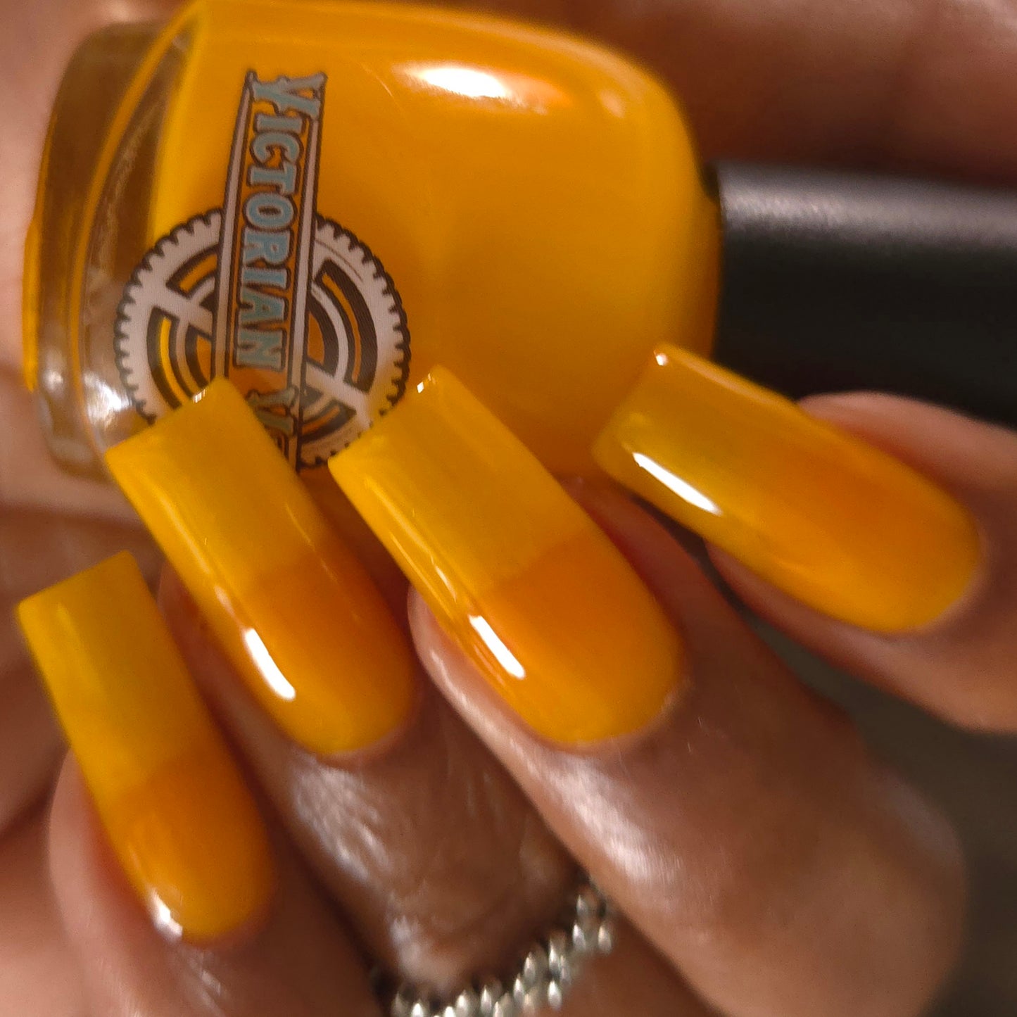 R.A.I.N.B.O.W. JELLIES