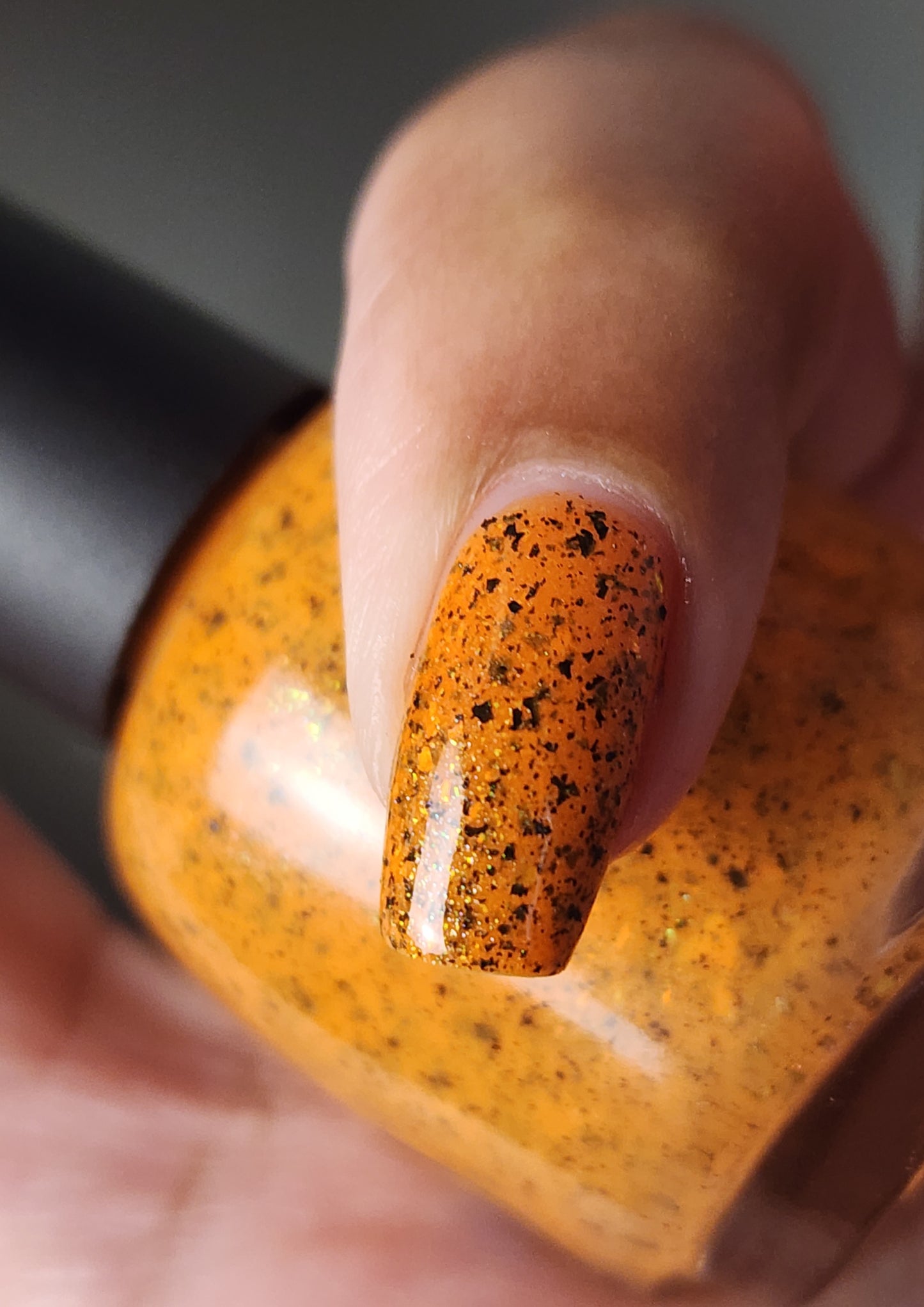 SPICY PUNKIN'