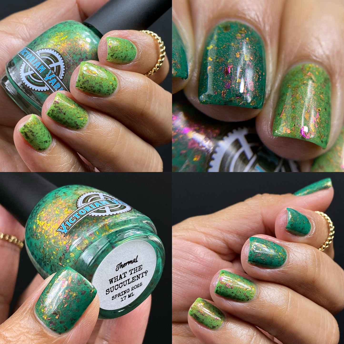 WHAT THE SUCCULENT? - THERMAL