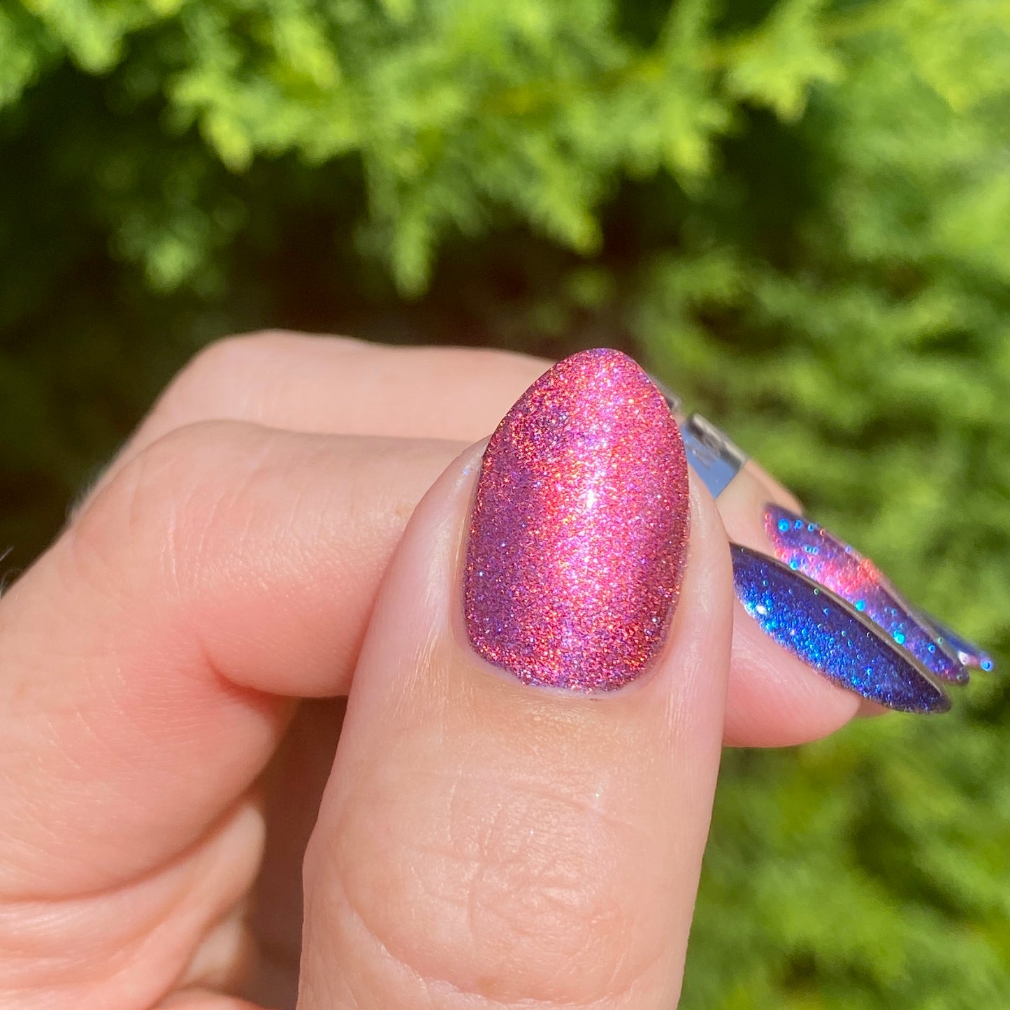 RAZZED MY DAZZLE (MAGNETIC)
