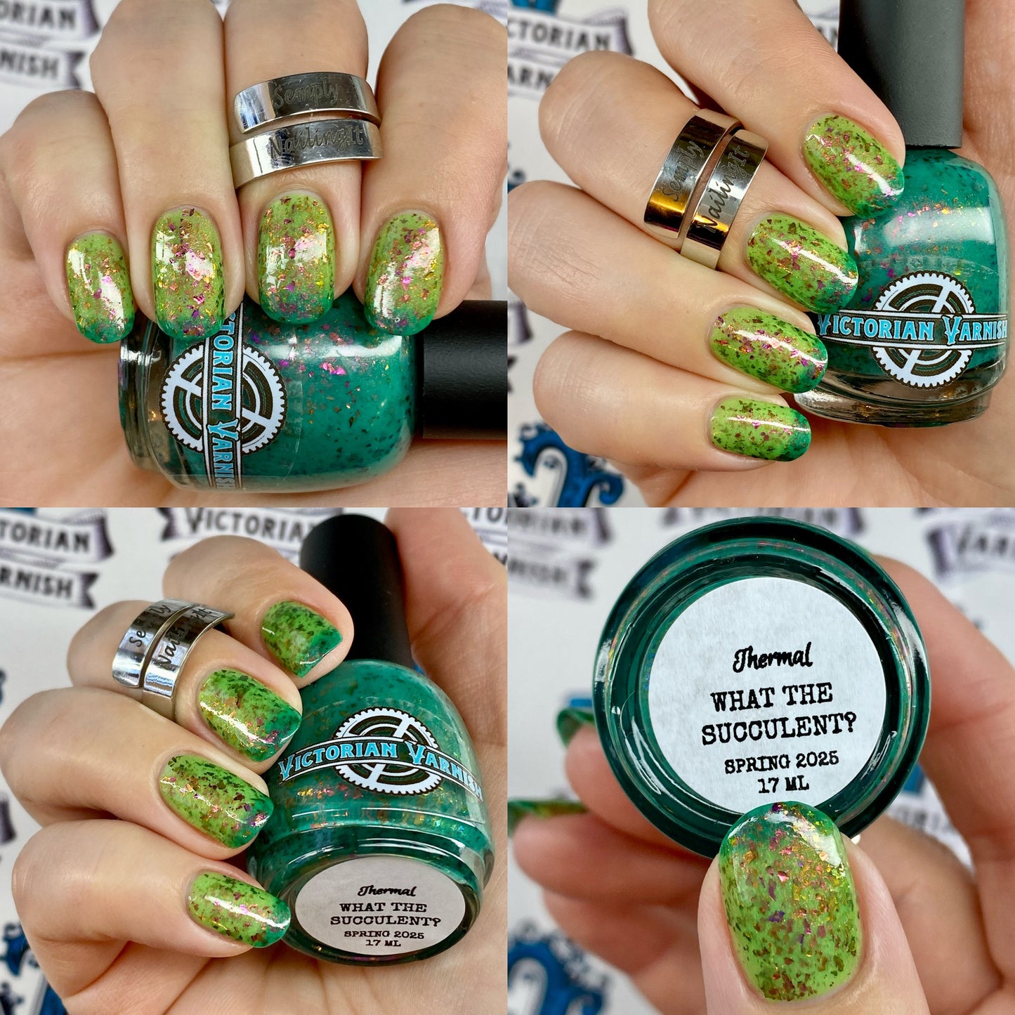 WHAT THE SUCCULENT? - THERMAL