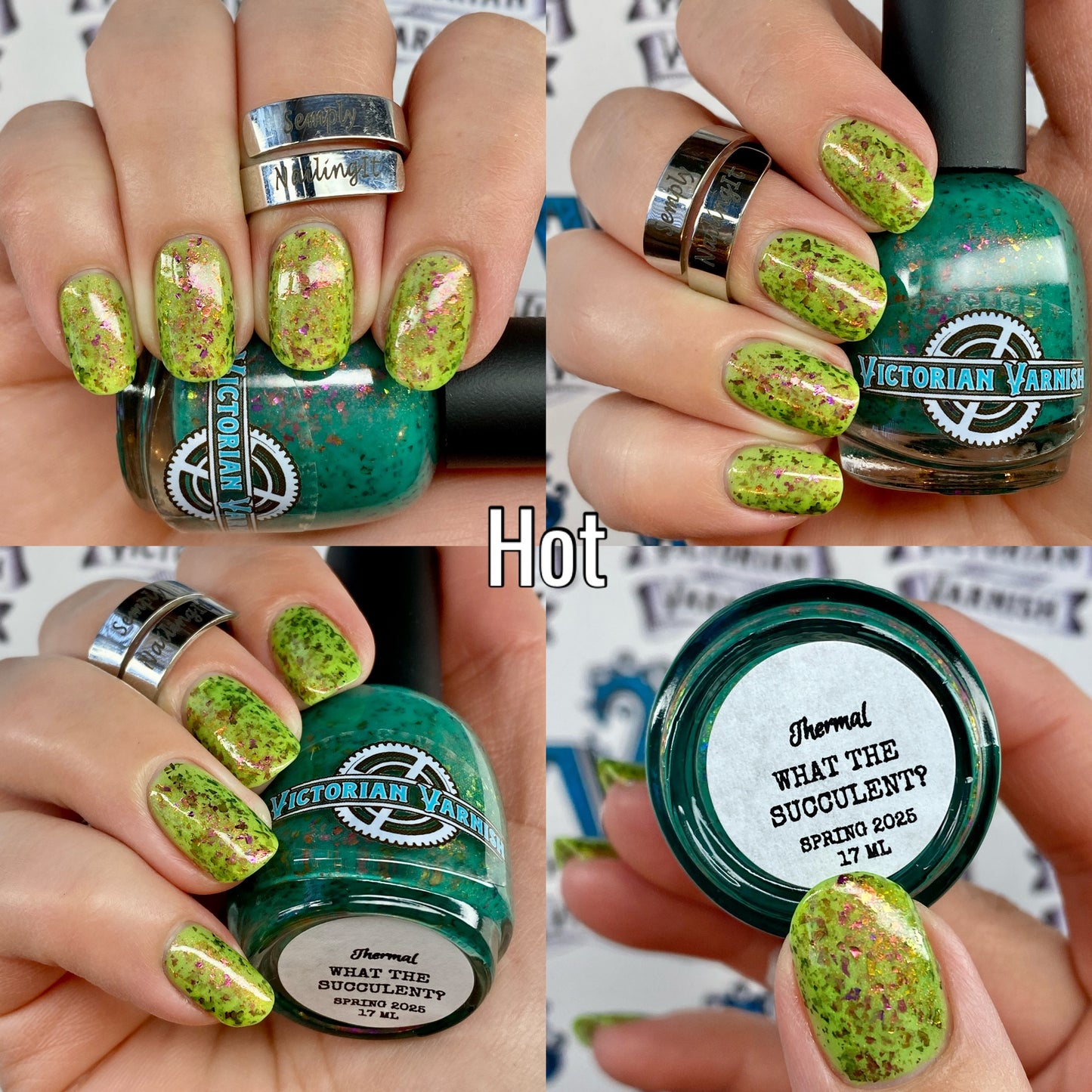 WHAT THE SUCCULENT? - THERMAL