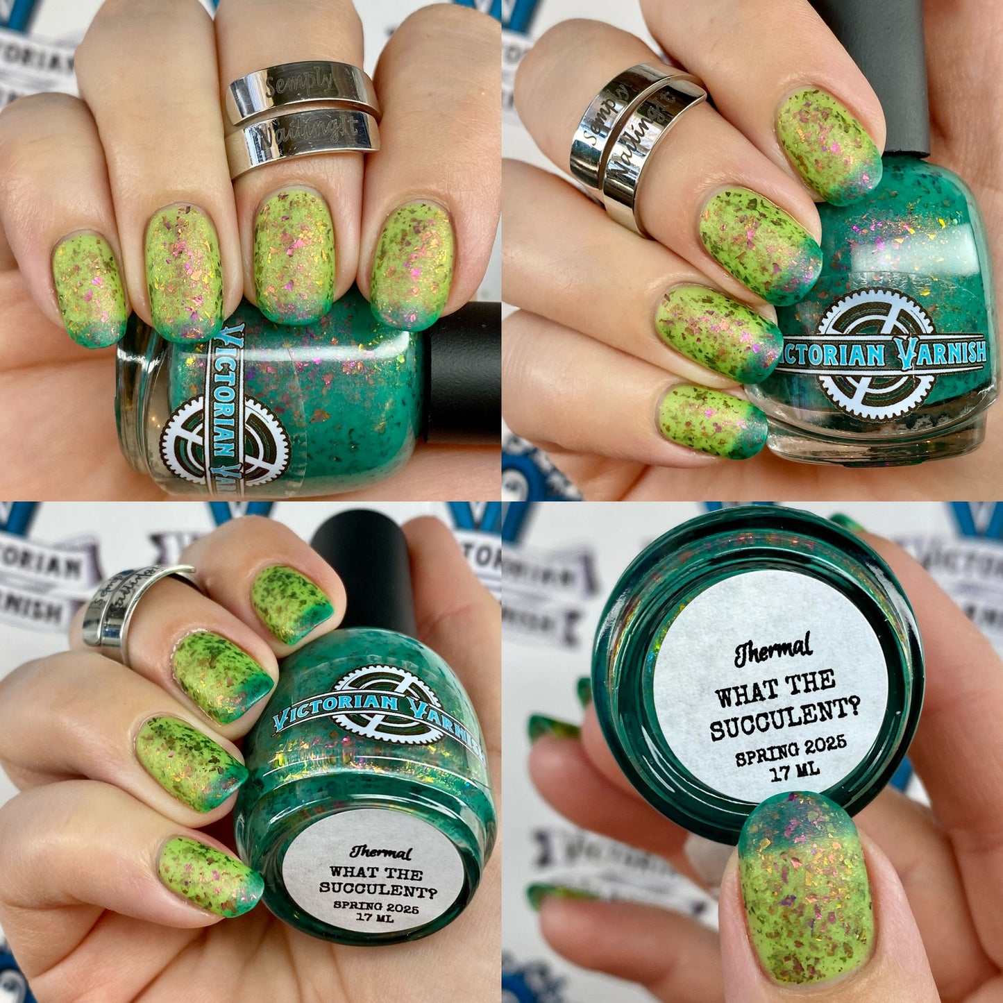 WHAT THE SUCCULENT? - THERMAL