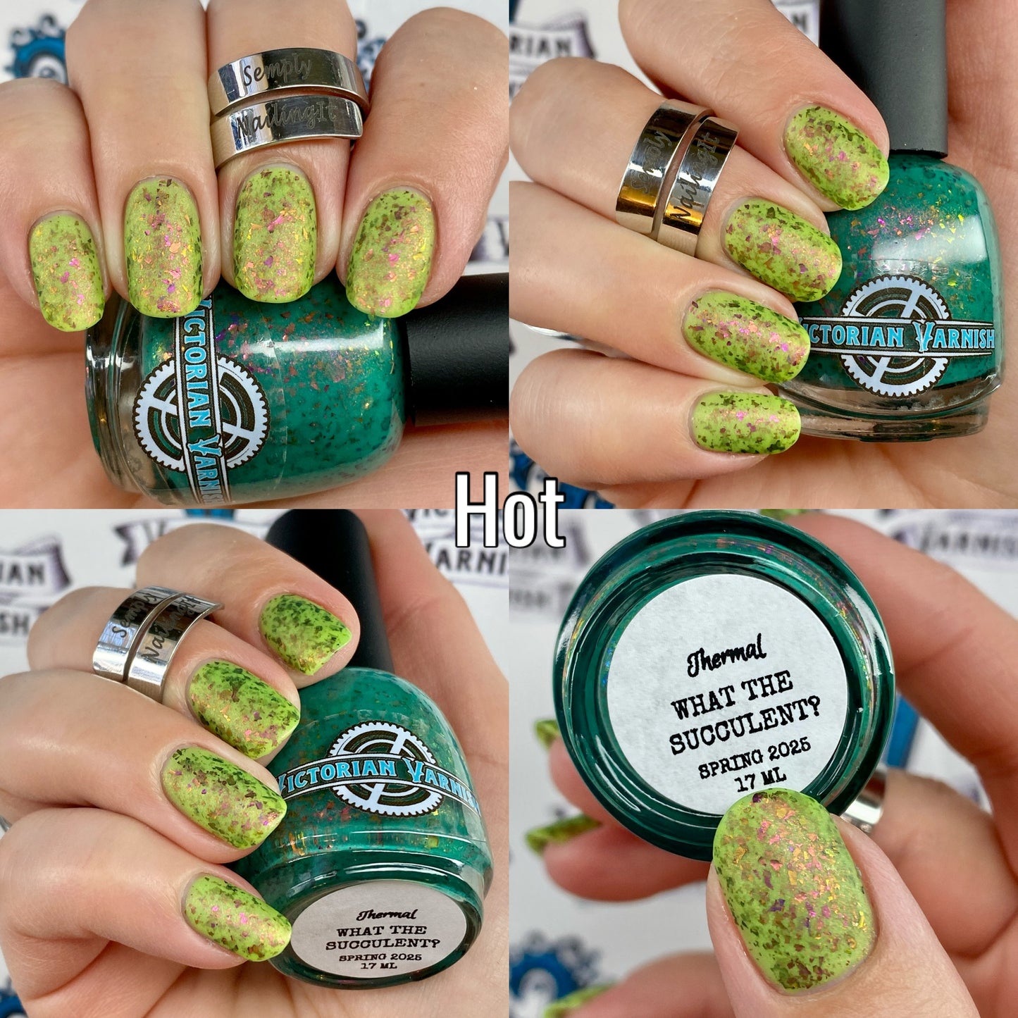 WHAT THE SUCCULENT? - THERMAL