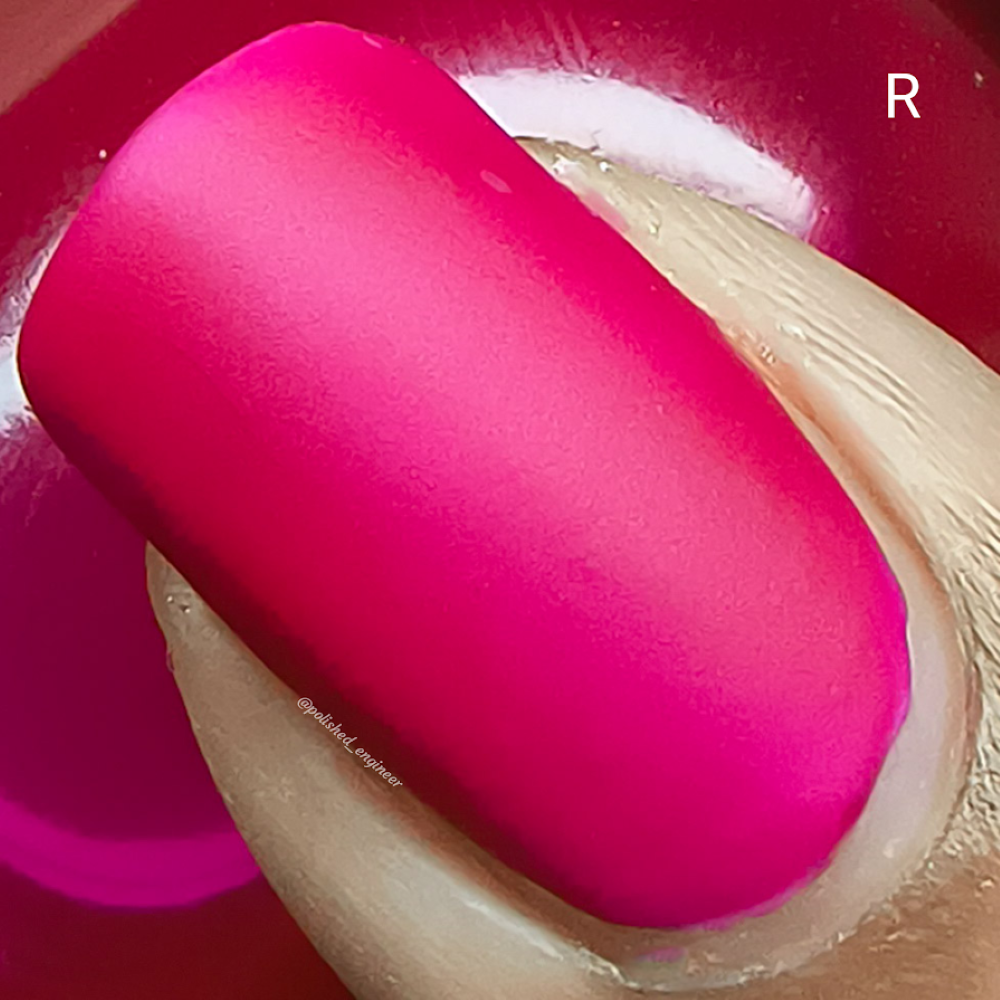 R.A.I.N.B.O.W. JELLIES