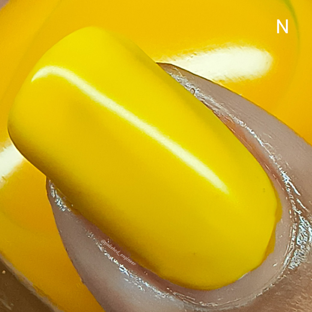 R.A.I.N.B.O.W. JELLIES
