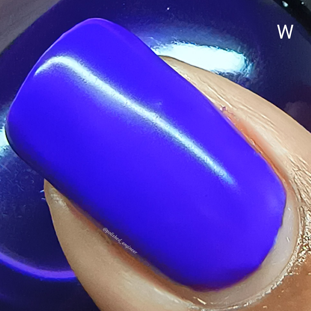R.A.I.N.B.O.W. JELLIES