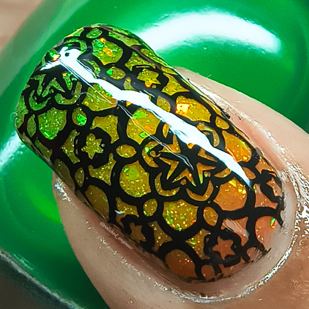 R.A.I.N.B.O.W. JELLIES