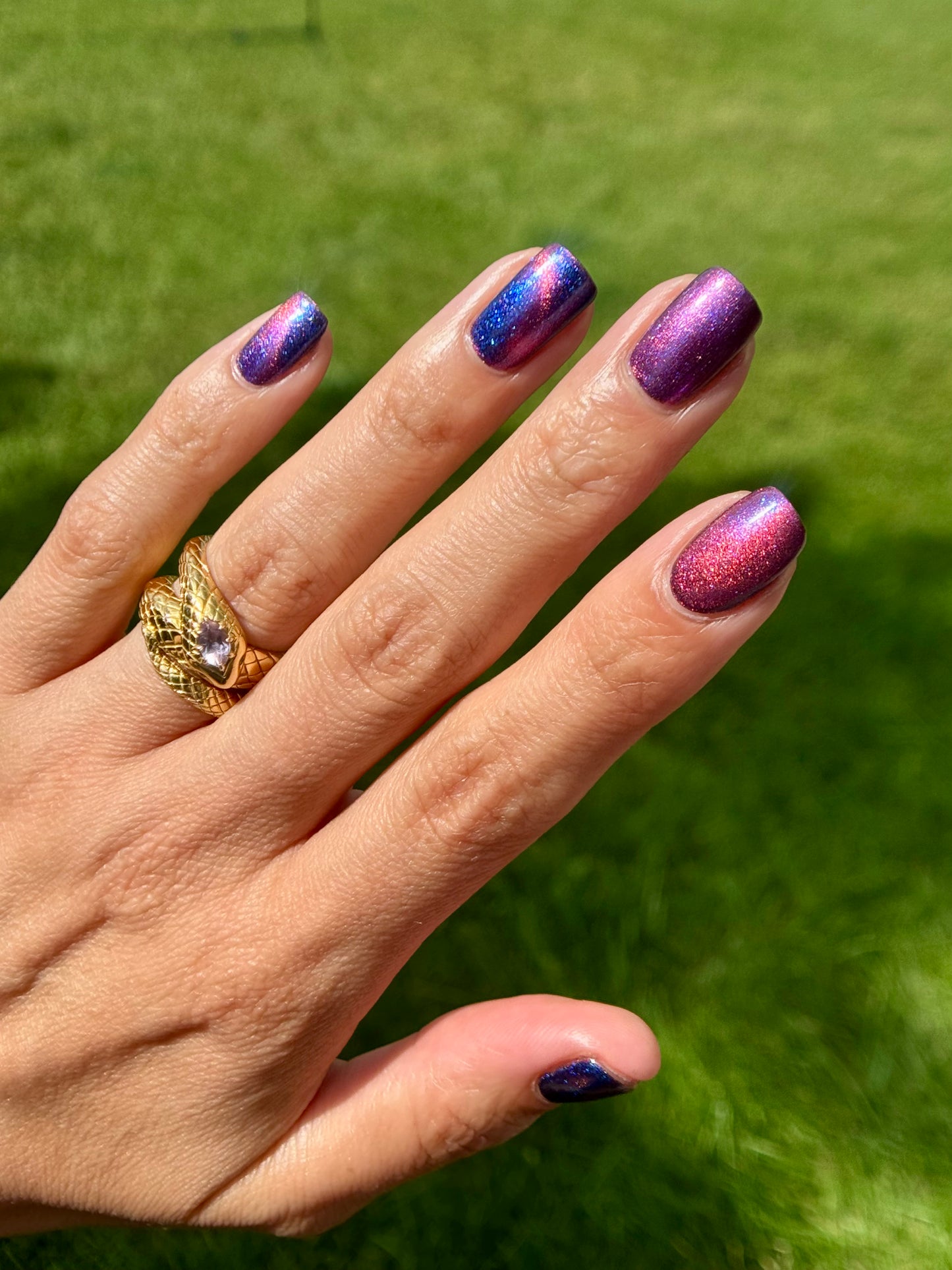 RAZZED MY DAZZLE (MAGNETIC)