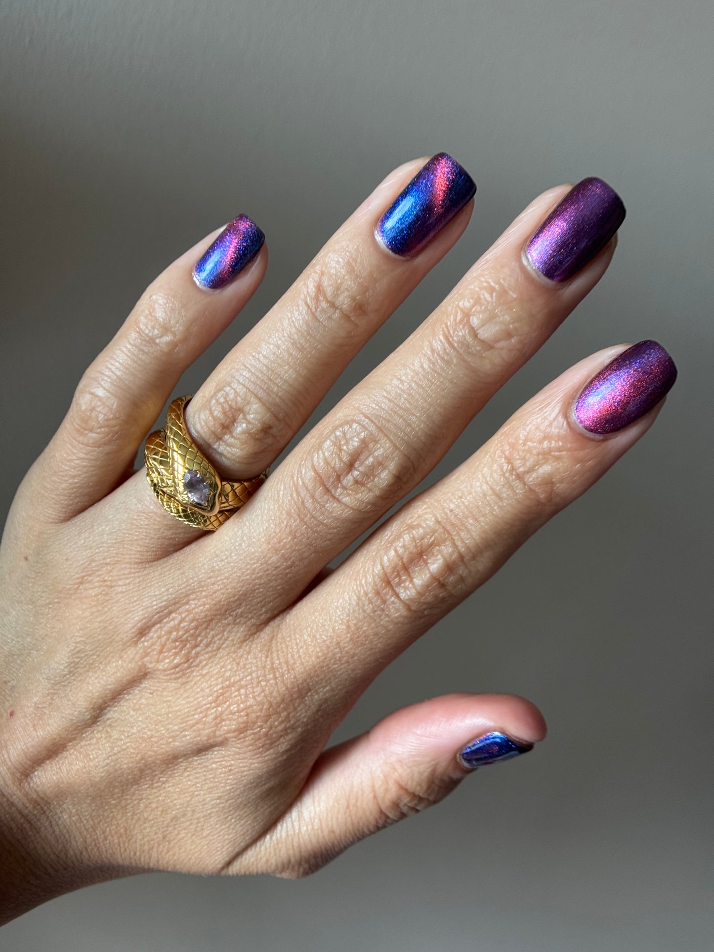 RAZZED MY DAZZLE (MAGNETIC)