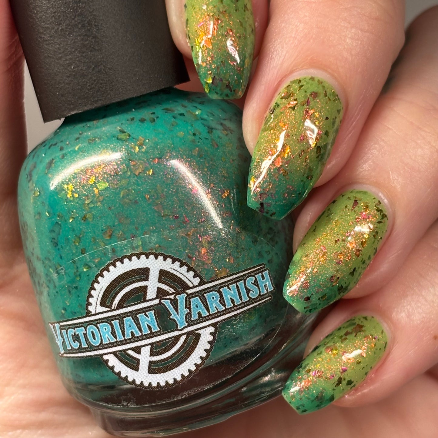 WHAT THE SUCCULENT? - THERMAL