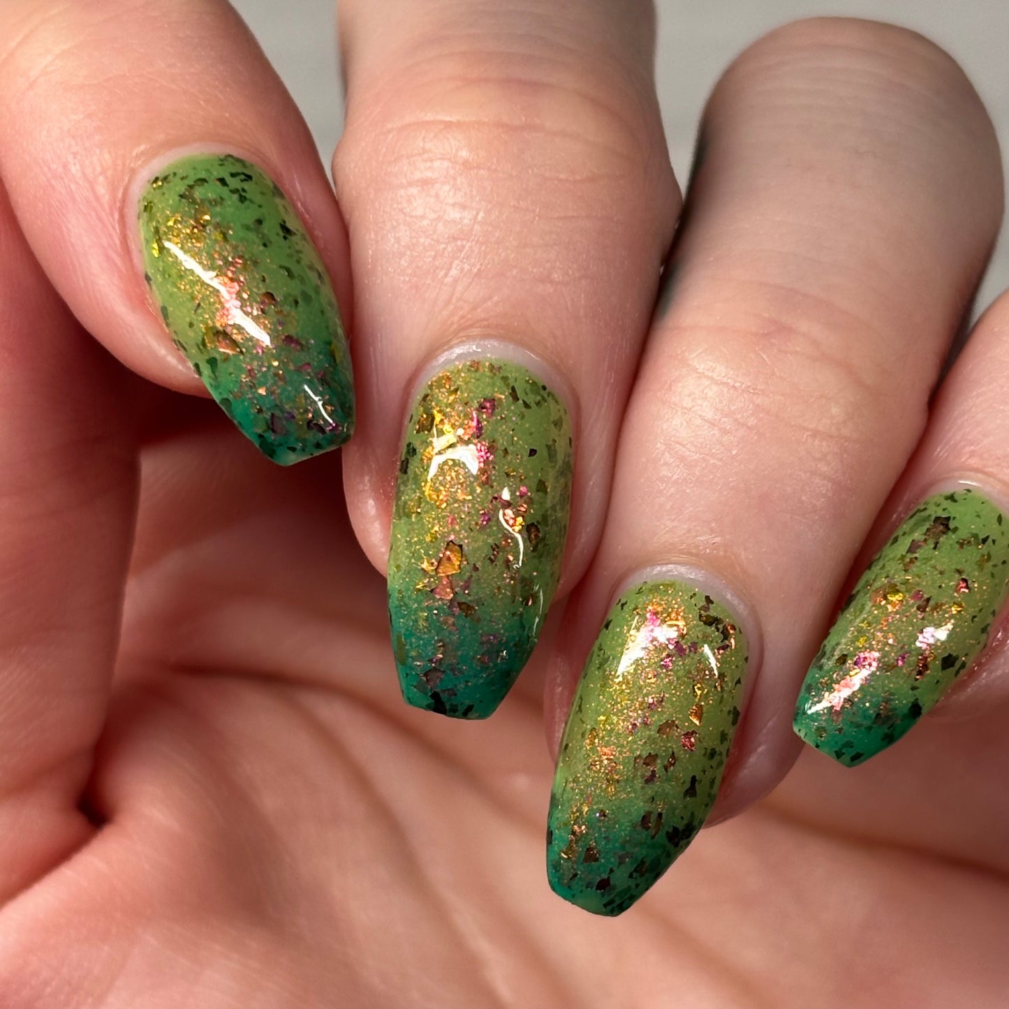 WHAT THE SUCCULENT? - THERMAL