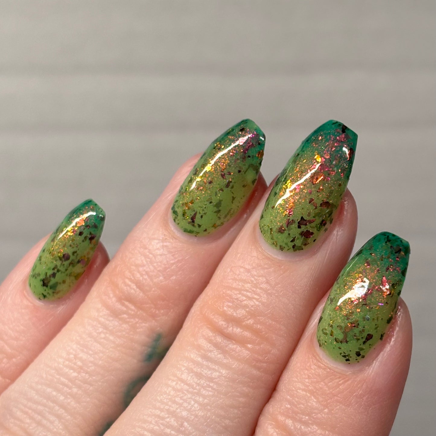 WHAT THE SUCCULENT? - THERMAL
