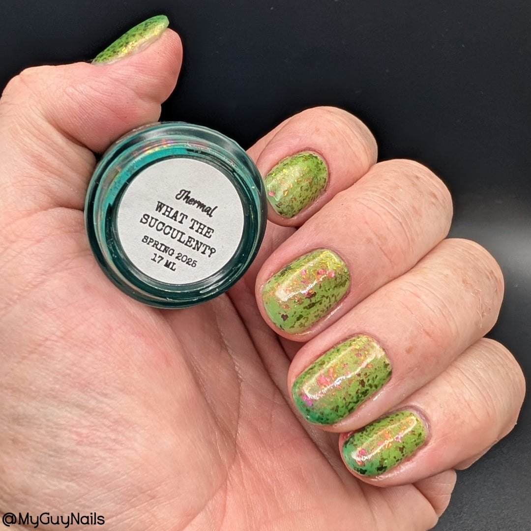 WHAT THE SUCCULENT? - THERMAL