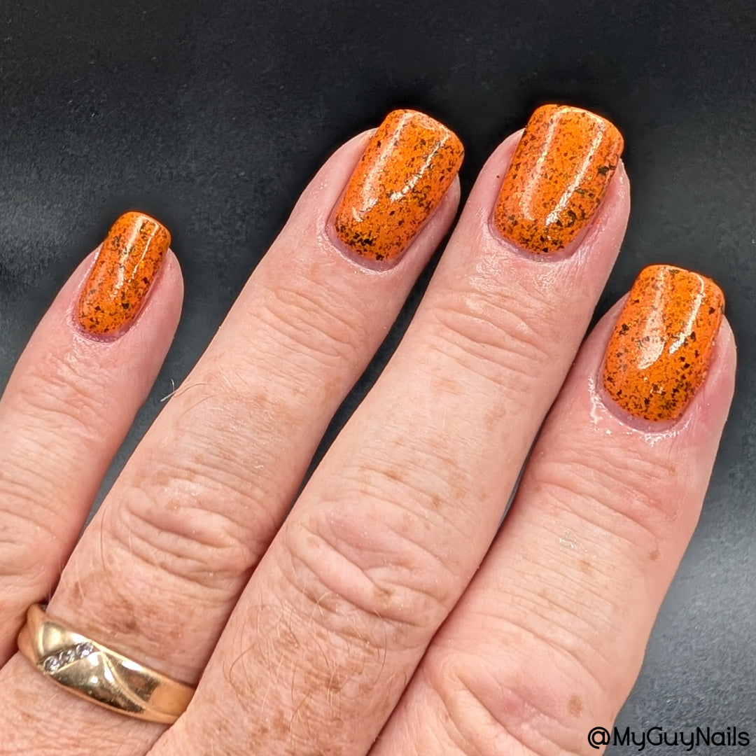 SPICY PUNKIN'