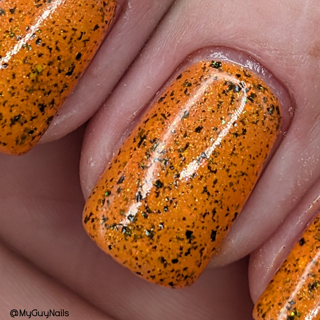 SPICY PUNKIN'