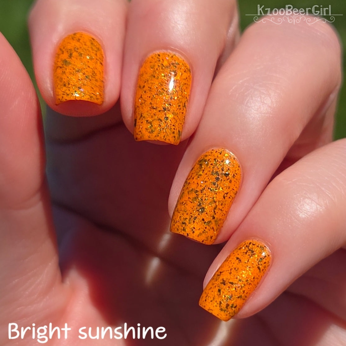 SPICY PUNKIN'