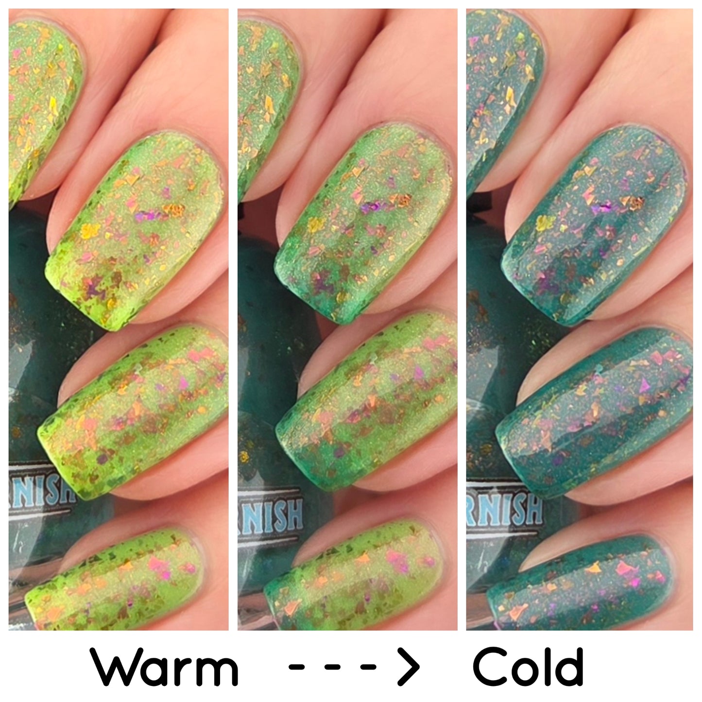 WHAT THE SUCCULENT? - THERMAL