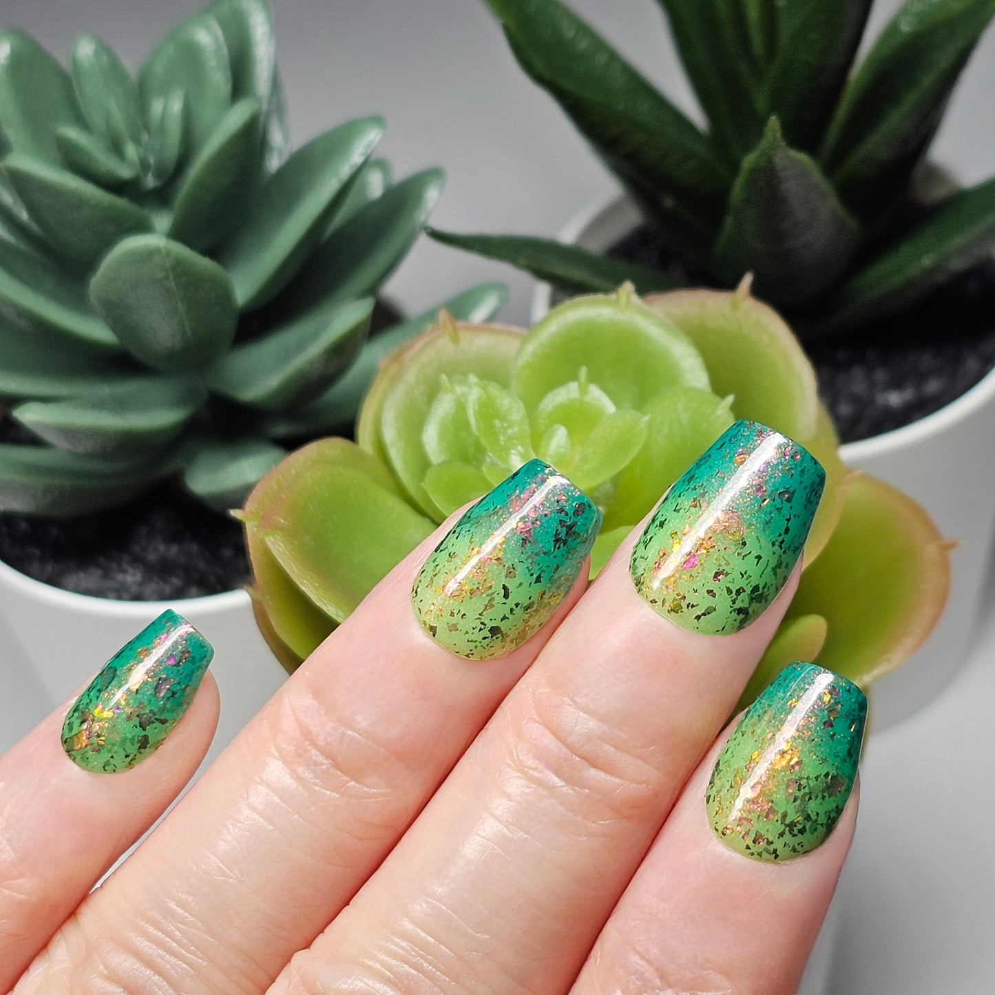 WHAT THE SUCCULENT? - THERMAL