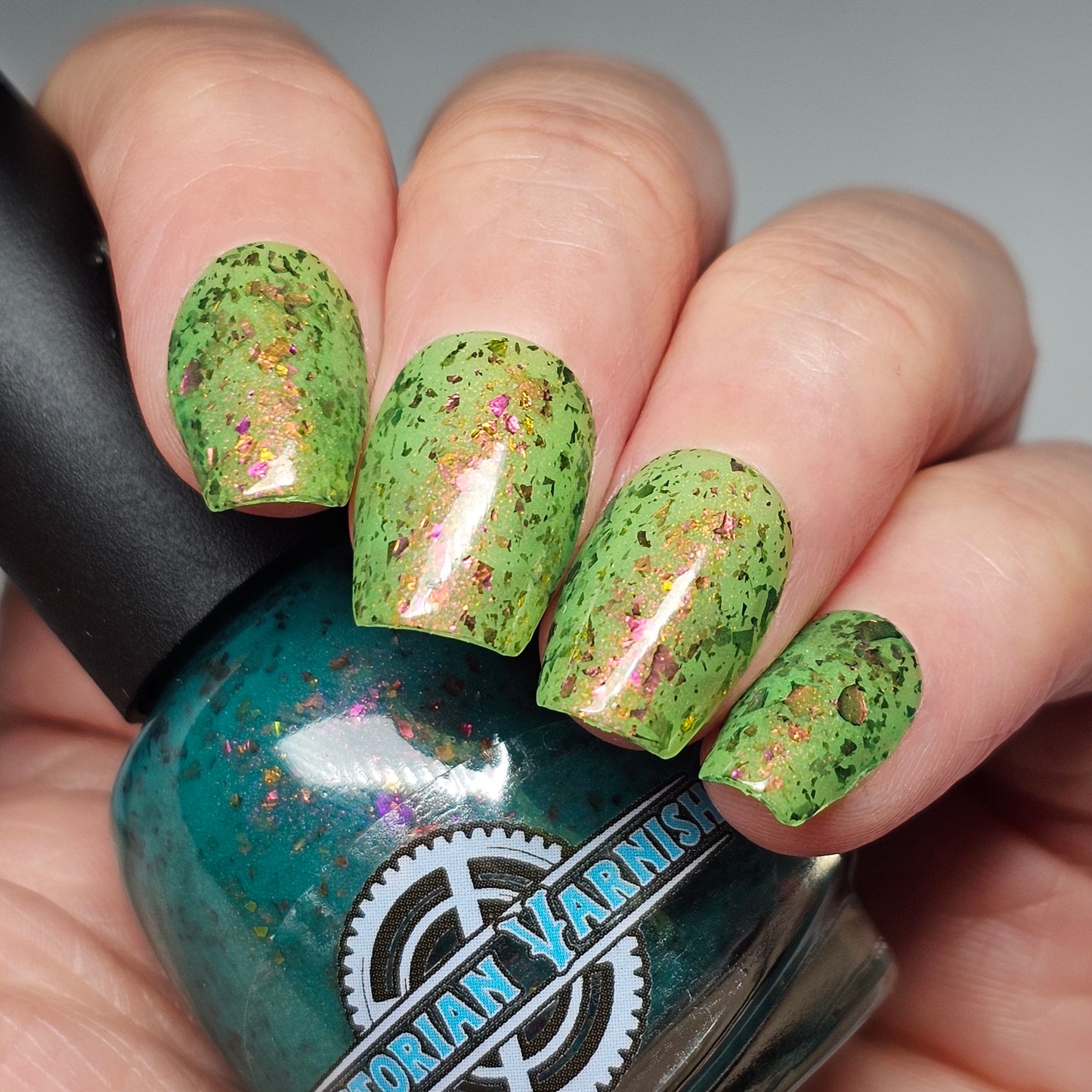 WHAT THE SUCCULENT? - THERMAL