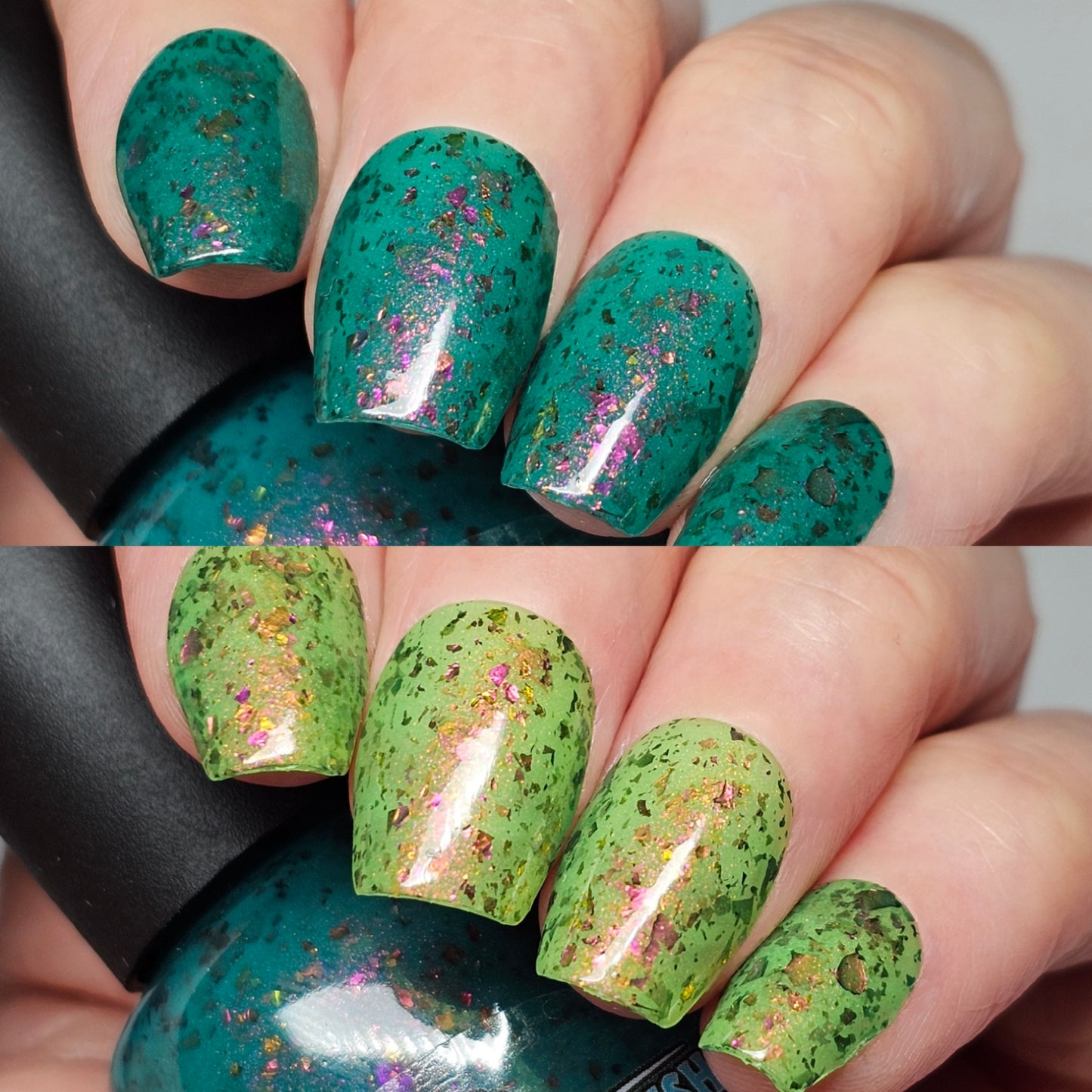 WHAT THE SUCCULENT? - THERMAL