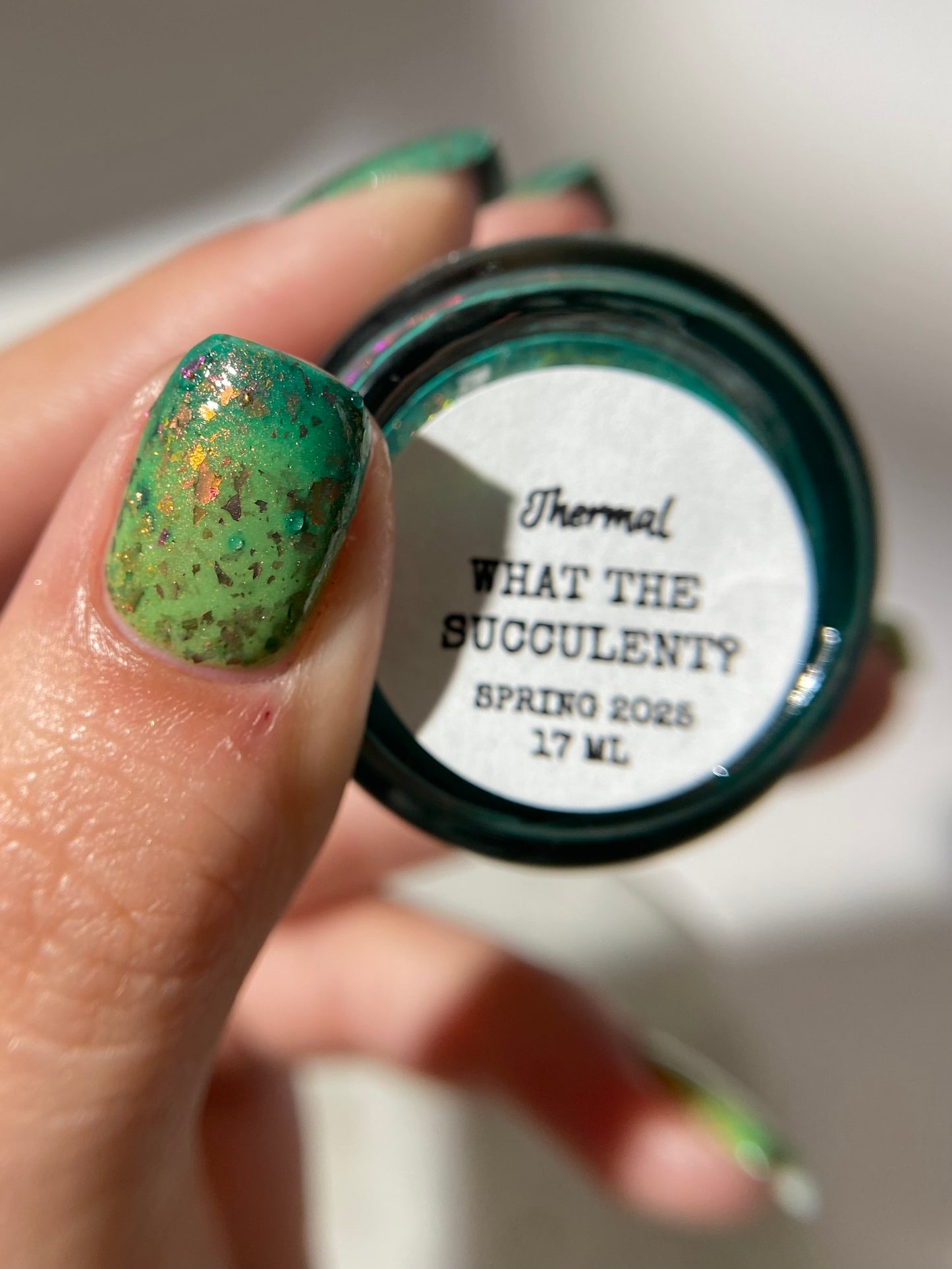 WHAT THE SUCCULENT? - THERMAL