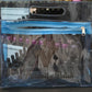 VV Blue Jelly Zip Cosmetic Bag with Handle