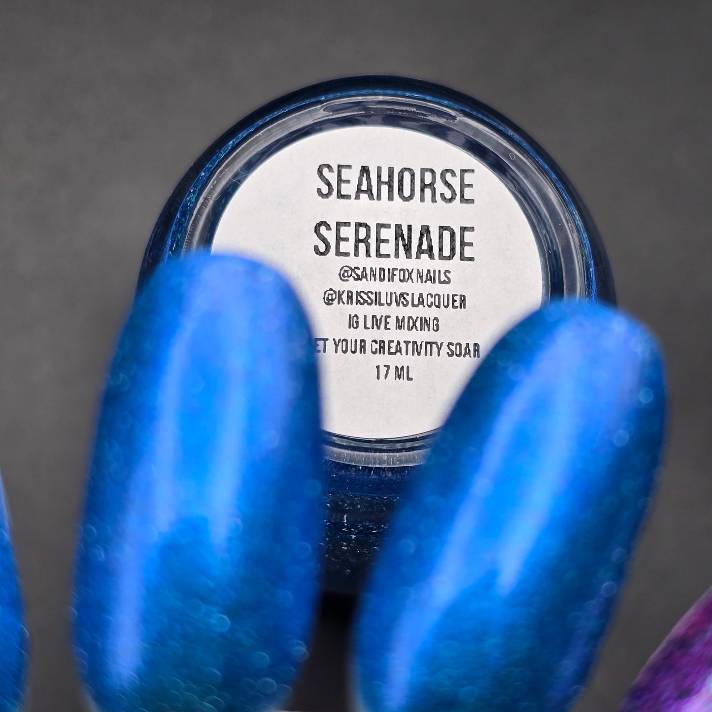 SEAHORSE SERENADE (REFLECTIVE)