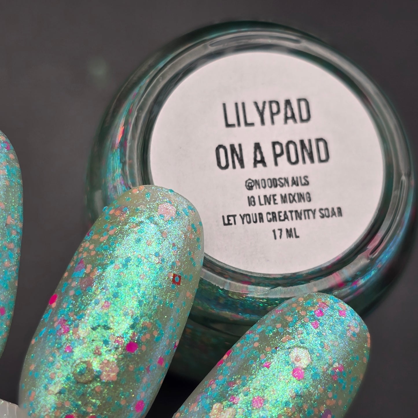 LILYPAD ON A POND