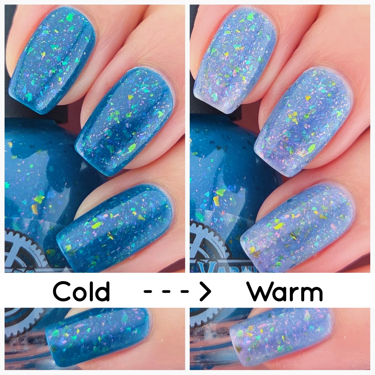 12 NEW CHAPTERS - 365 NEW CHANCES JANUARY 2026 COG OF THE MONTH