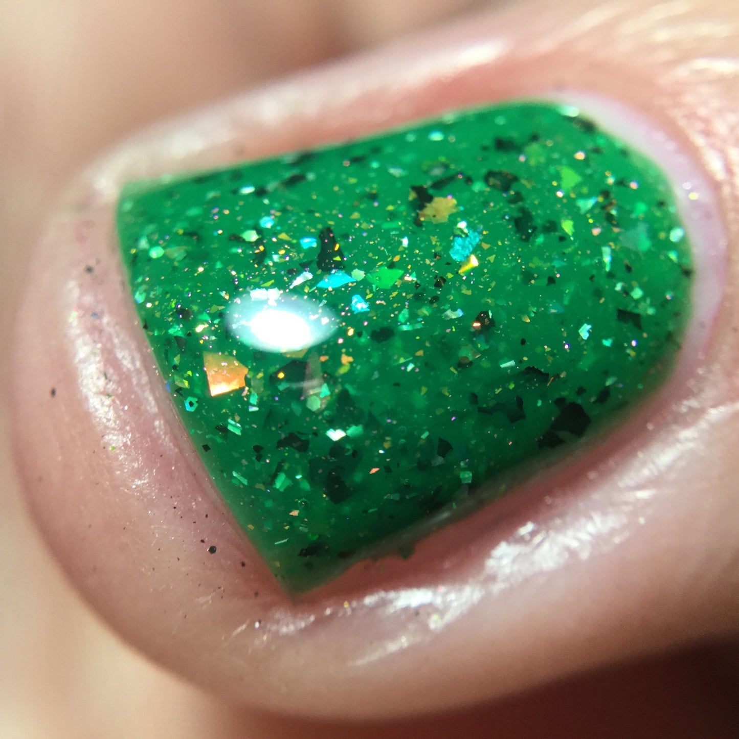 NOT MY PASTURE, NOT MY BULLSHIT