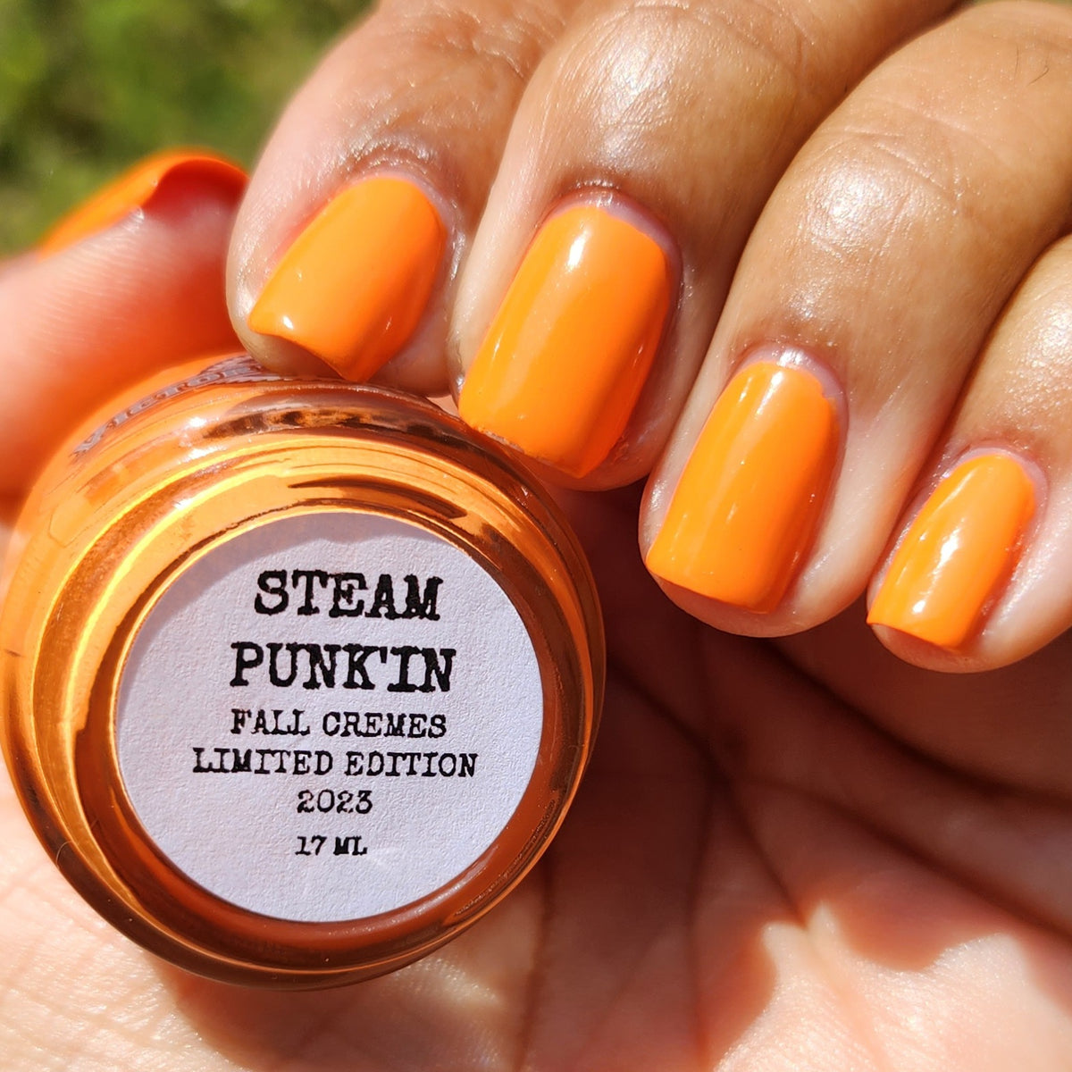 STEAM PUNK'IN