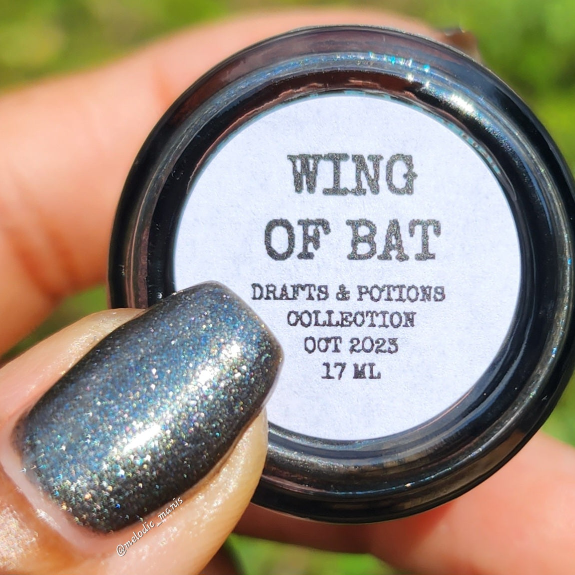 Wing of Bat