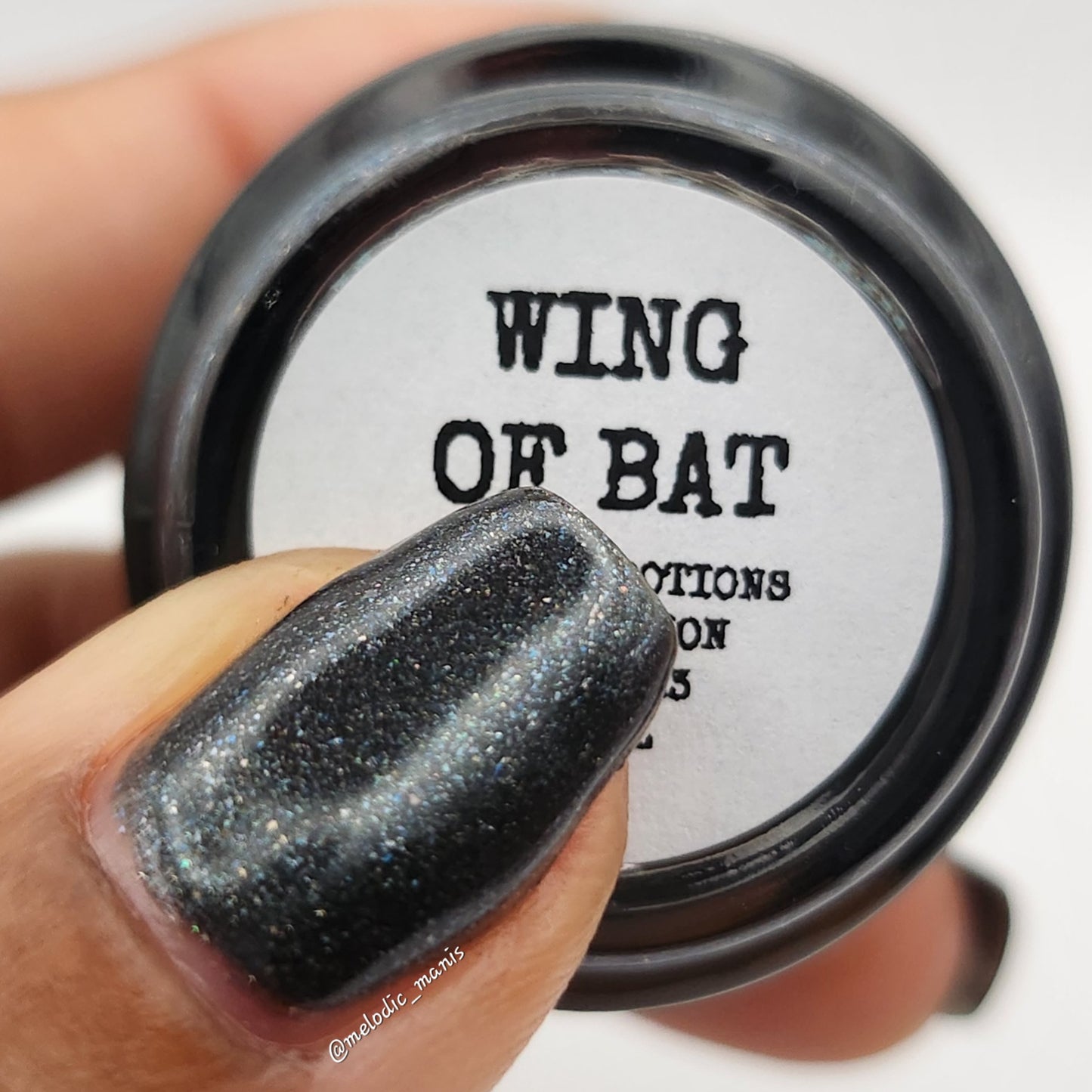 Wing of Bat
