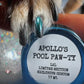 Apollo's Pool Paw-ty LE