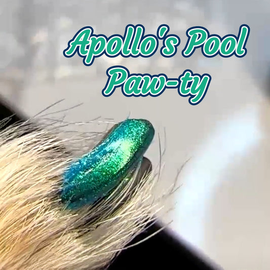 Apollo's Pool Paw-ty LE