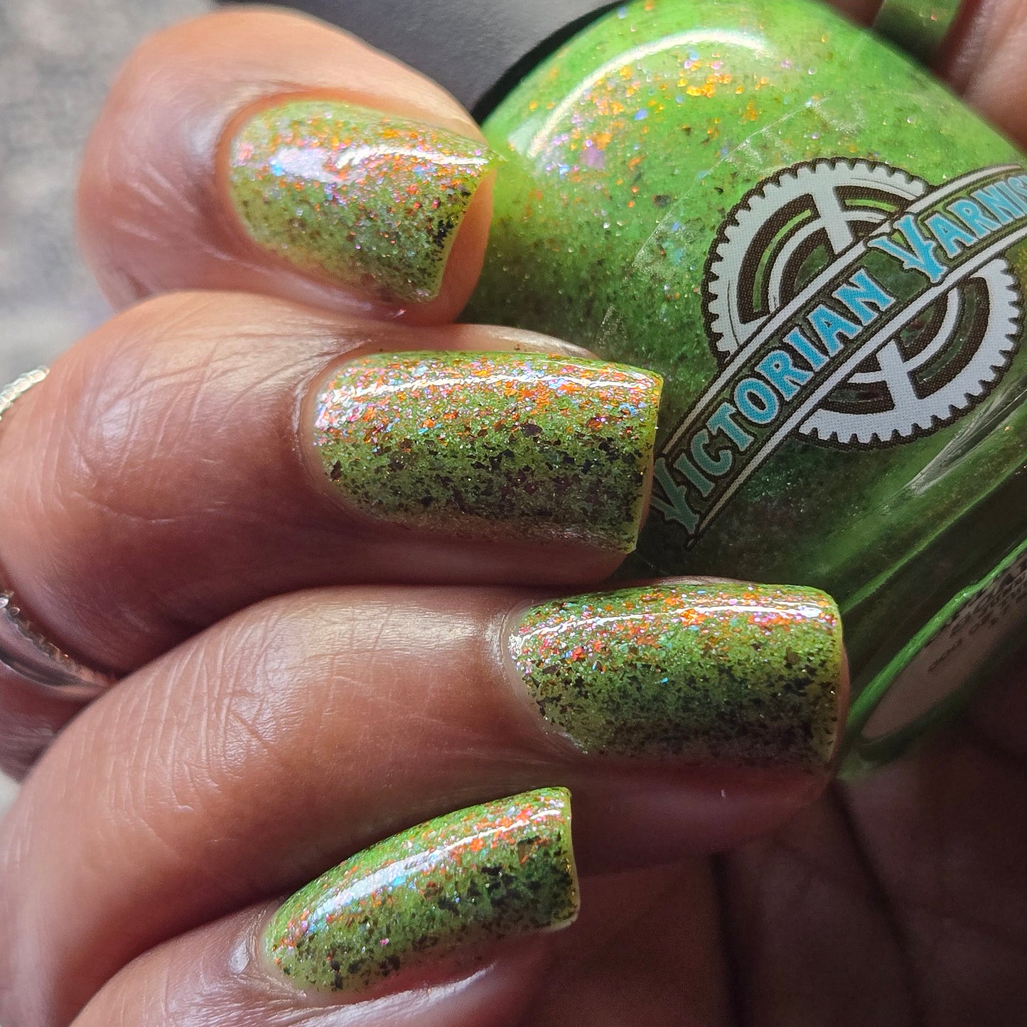 SPIKES & SCALES (Reflective) JUNE COG OF THE MONTH
