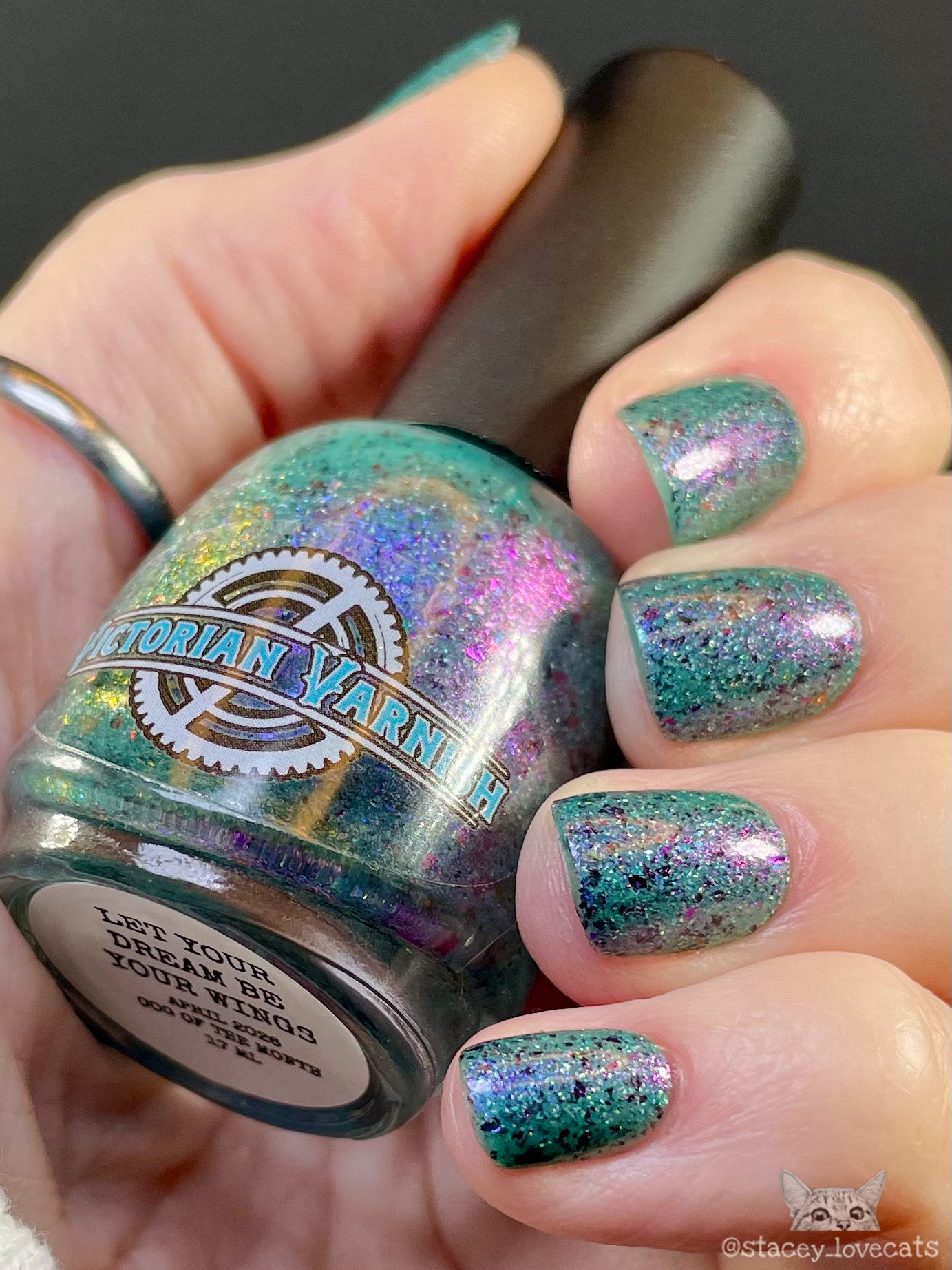 LET YOUR DREAM BE YOUR WINGS APRIL COG OF THE MONTH