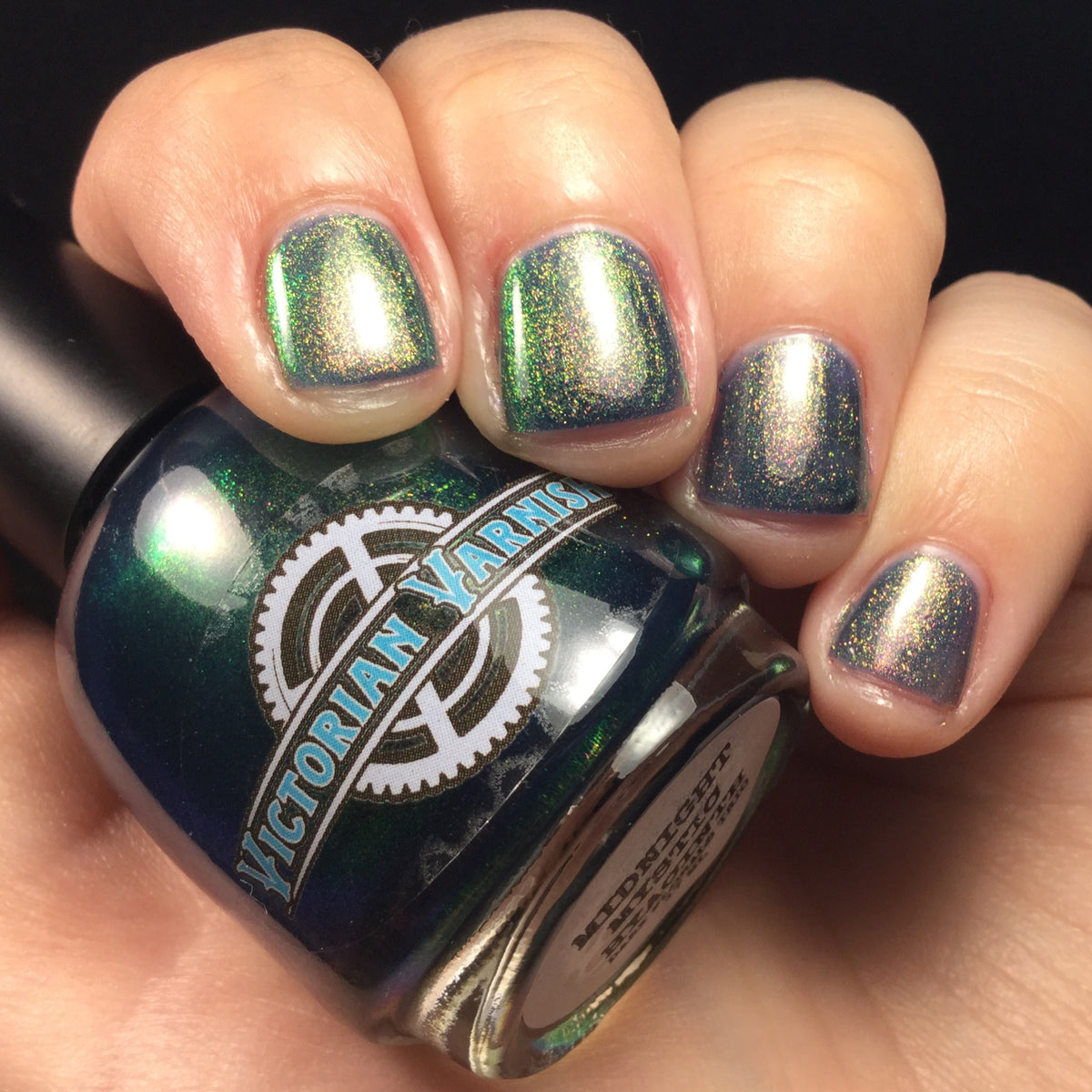 MIDNIGHT MYSTIC HYACINTH