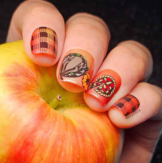 APPLE SAUCED (THERMAL)