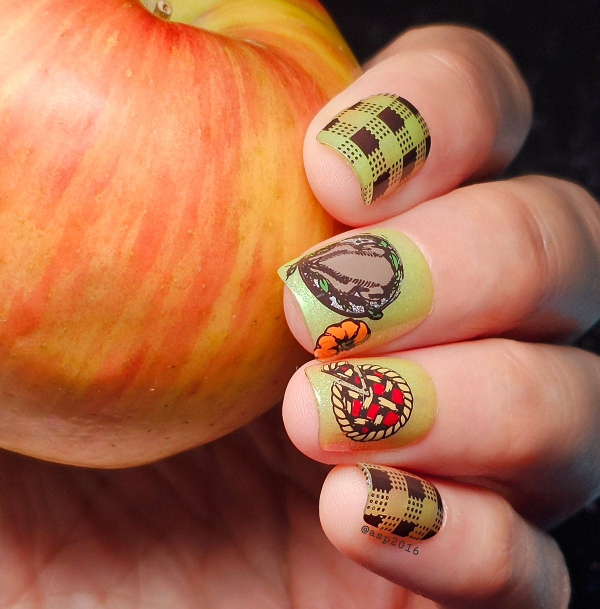 APPLE SAUCED (THERMAL)