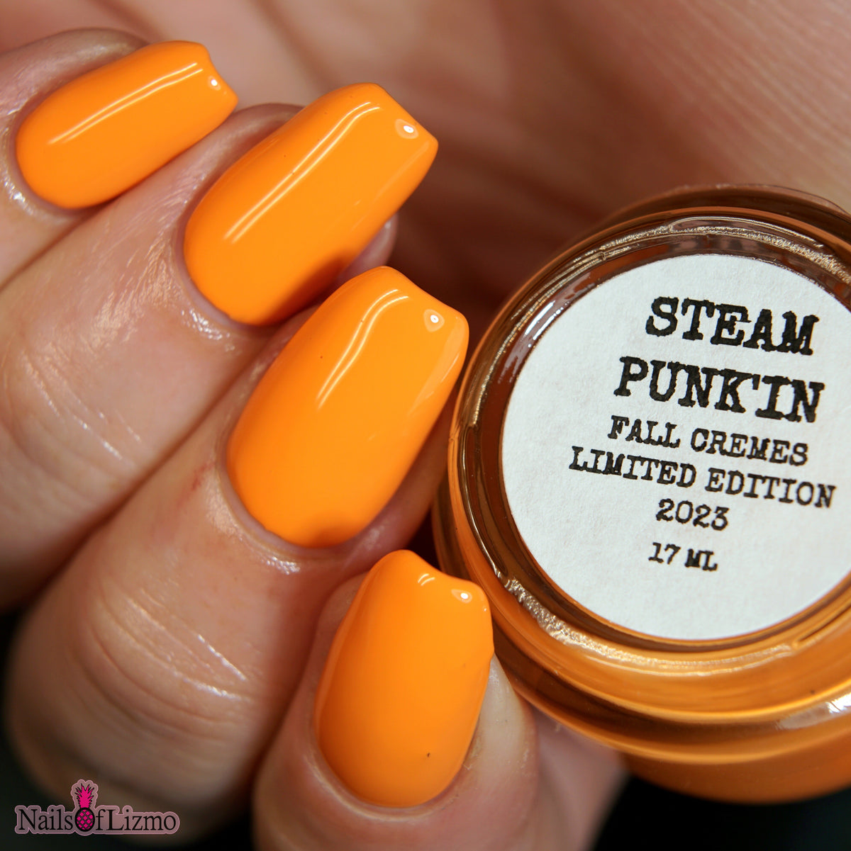 STEAM PUNK'IN