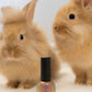 MAKE MINE CHOCOLATE (GHRS CHARITY POLISH)