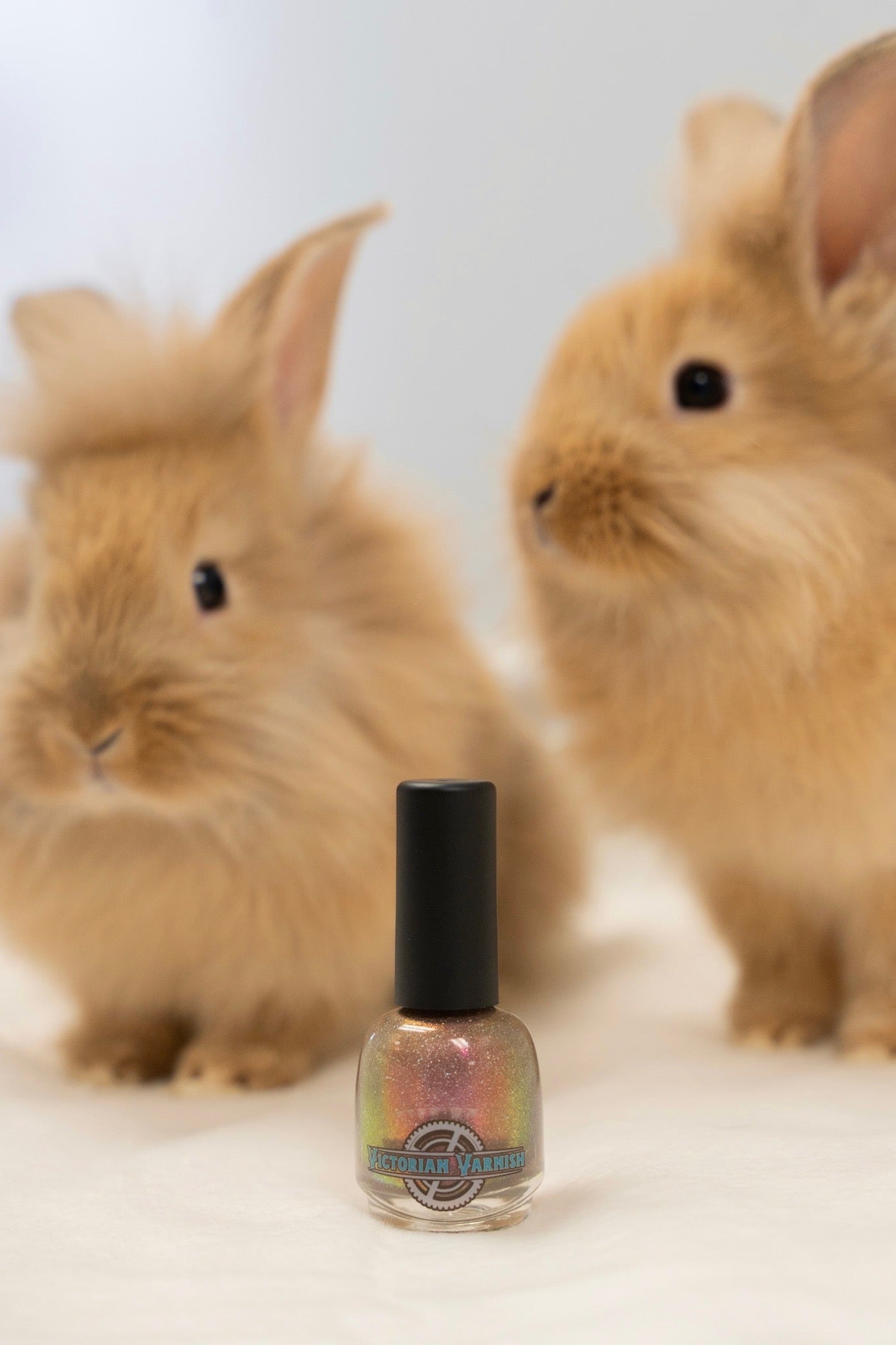 MAKE MINE CHOCOLATE (GHRS CHARITY POLISH)