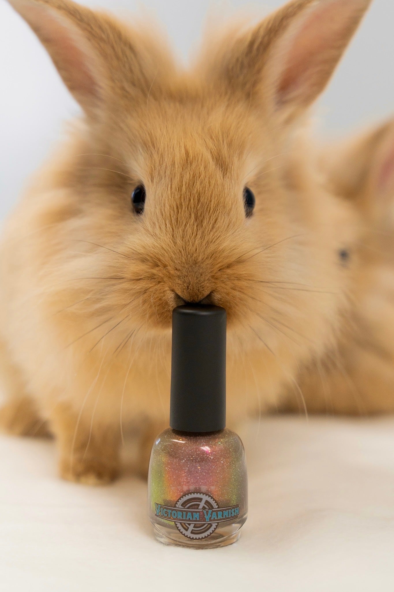 MAKE MINE CHOCOLATE (GHRS CHARITY POLISH)
