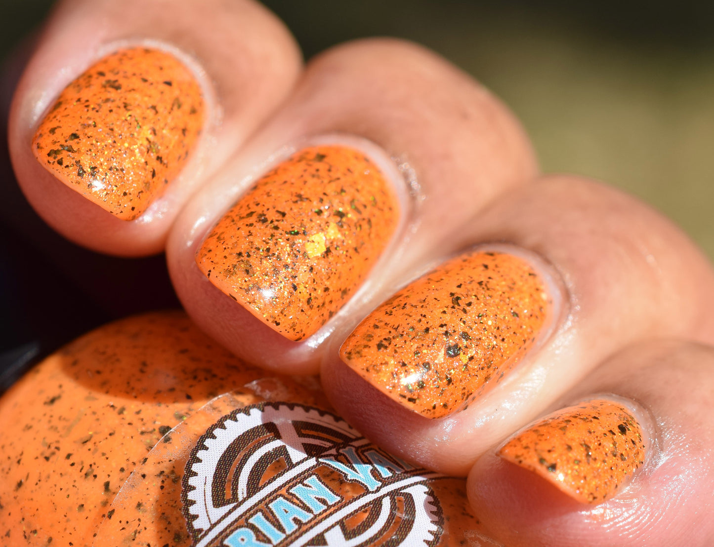 SPICY PUNKIN'